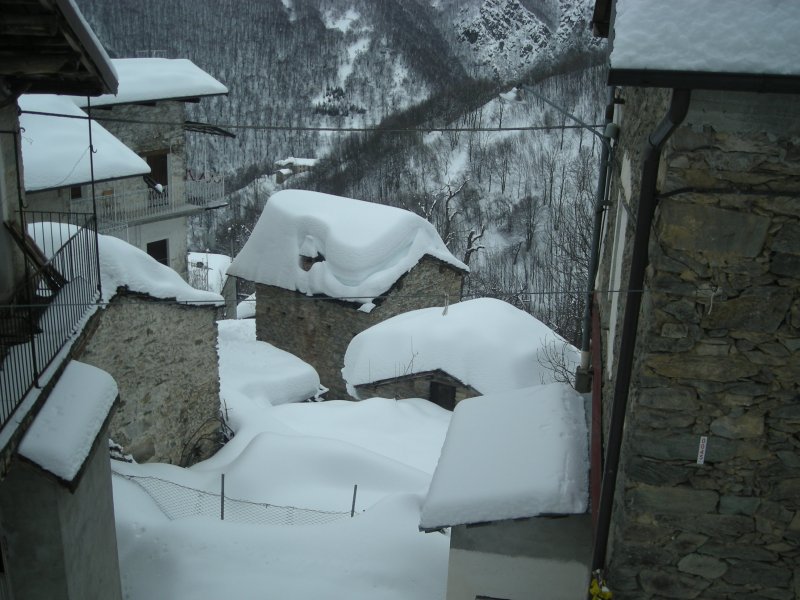 Neve Vinè